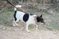 233_BUDY_ACUNR_2